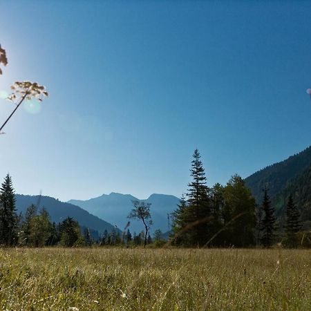 Апартаменты Alpinlife Ferienhaus Бад-Кольгруб Экстерьер фото